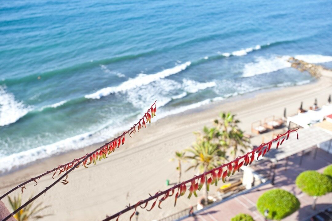 Princesa Playa Apartahotel Marbella